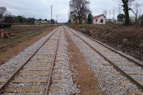 LA Nº 39 Línea Río Branco 2014-11